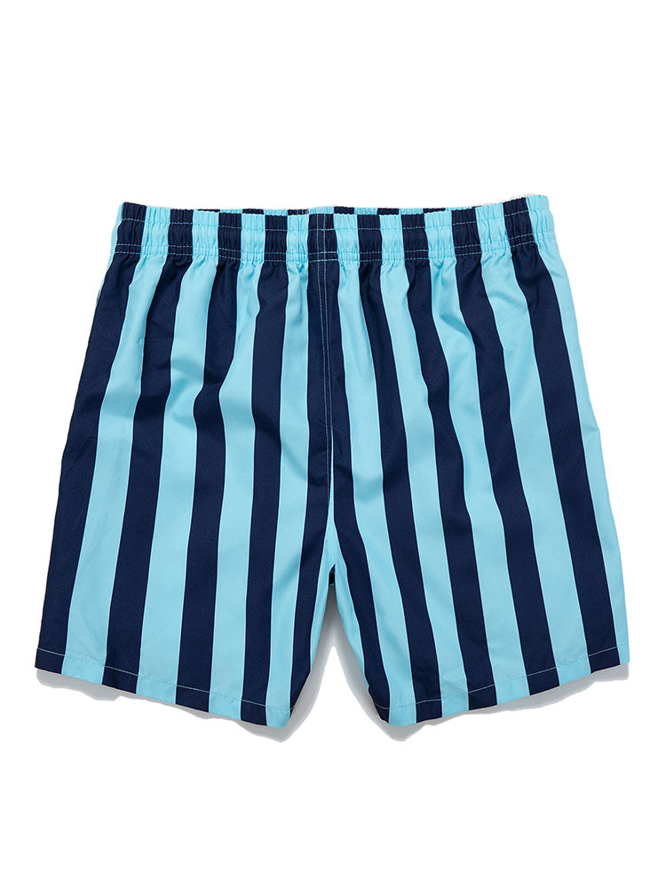 Man Striped Print Swim Shorts