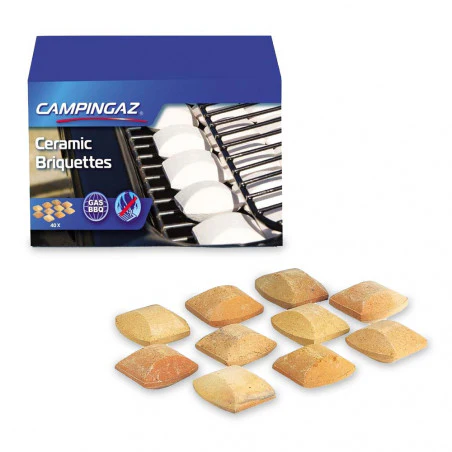 Campingaz 28 MBAR gas regulator kit