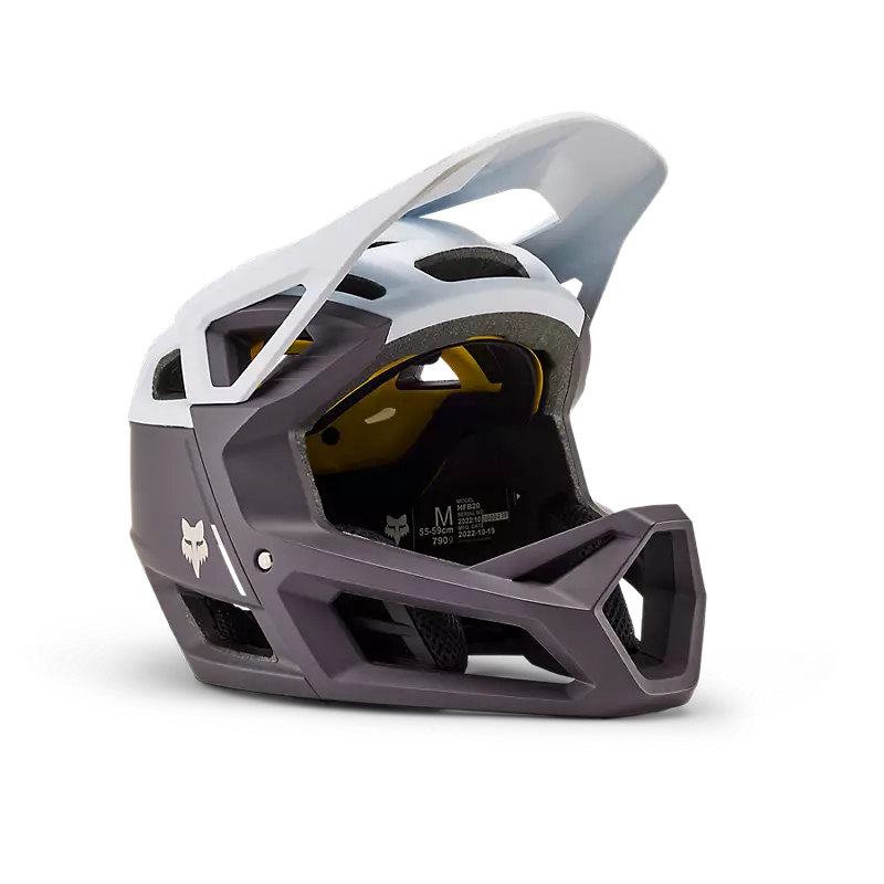 Proframe Helm