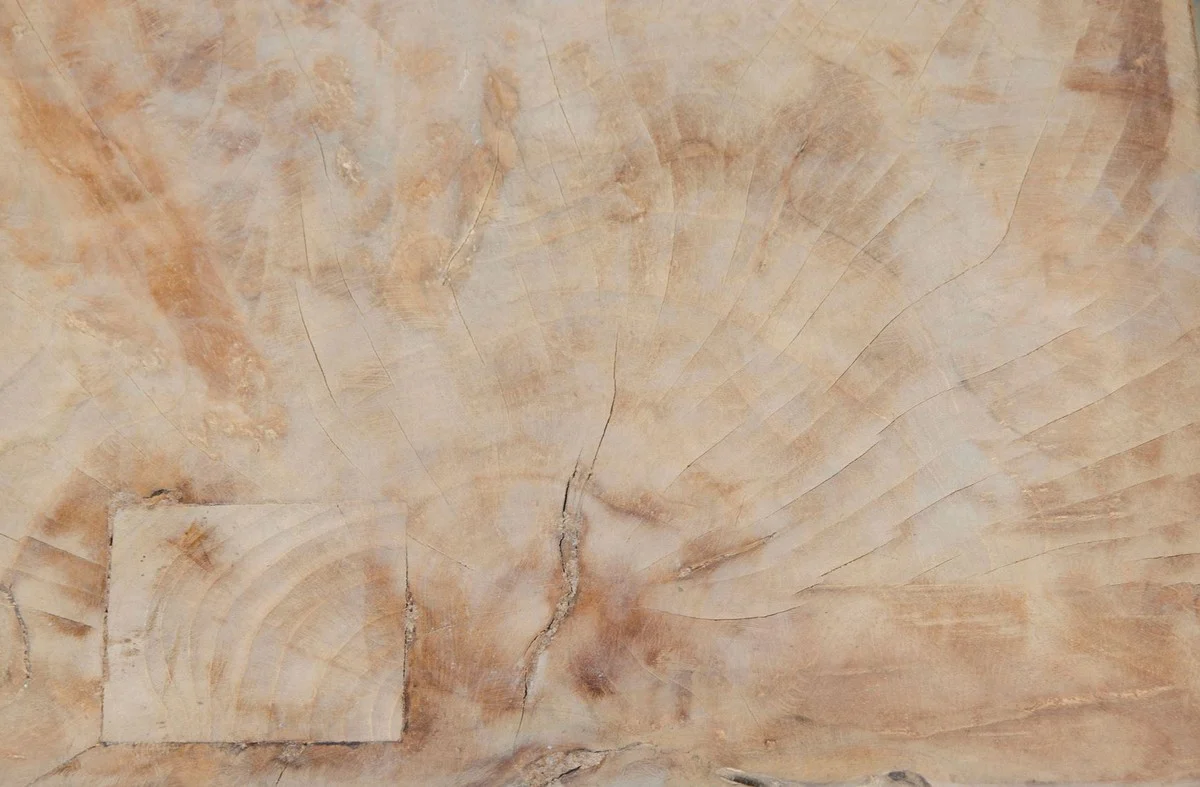 Living room side table natural colors 31 x 31 x H. 40 cm - luxury collection